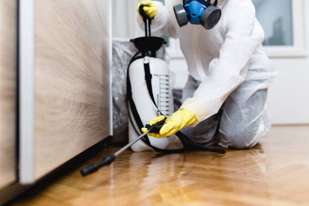 Best Pest Removal Services  in Wood River, IL