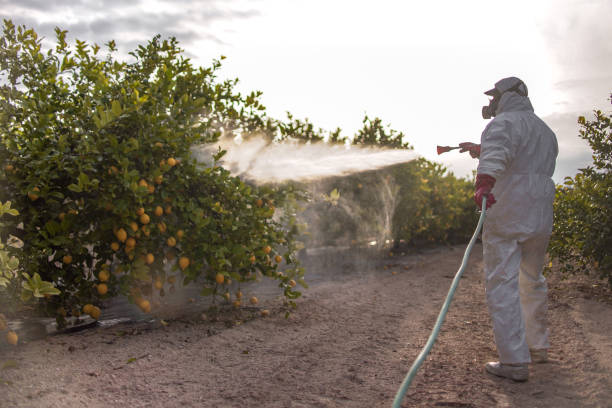 Best Best Pest Control Companies  in Wood River, IL