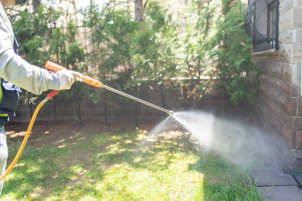 Best Pest Control for Businesses  in Wood River, IL