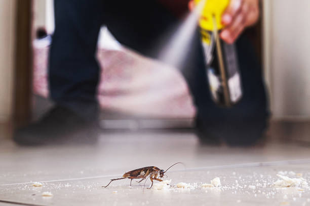 Pest Control for Restaurants in Wood River, IL