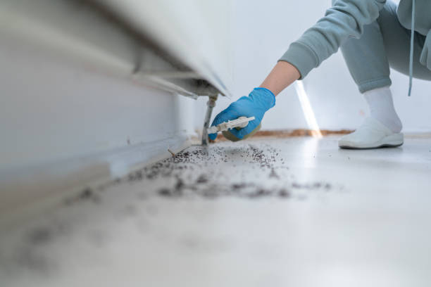 Trusted Wood River, IL Pest Control Experts