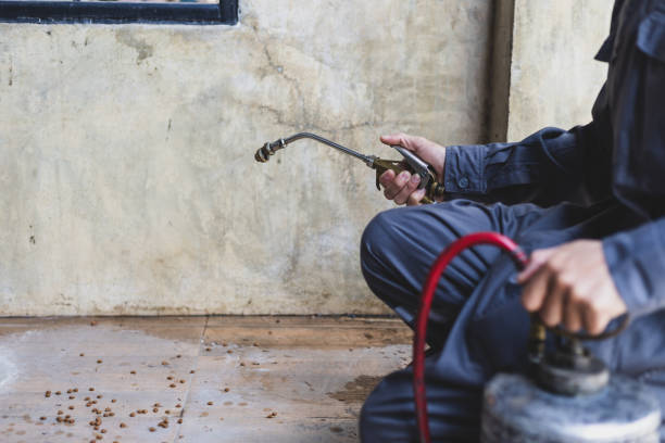Best Local Pest Control Services  in Wood River, IL